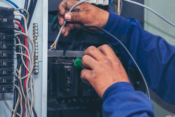 Best Electric Panel Repair  in Troy, TN